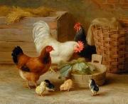 unknow artist Cocks 106 oil painting picture wholesale